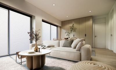 Modern Blinds in Living Room